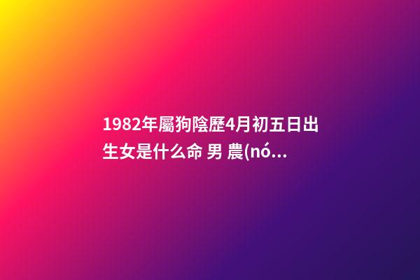 1982年屬狗陰歷4月初五日出生女是什么命 男 農(nóng)歷1982年4月初5早晨6點左右出生 算命-第1張-觀點-玄機派